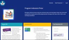 Kenapa Cek PIP Data Tidak Ditemukan 2025