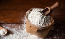 Mengapa Sagu Merupakan Produk Pangan Lokal yang Sangat Menjanjikan pada Masa Mendatang