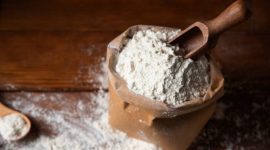 Mengapa Sagu Merupakan Produk Pangan Lokal yang Sangat Menjanjikan pada Masa Mendatang