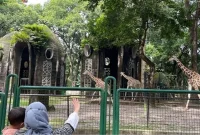 Apakah Taman Margasatwa Ragunan Buka pada 17 Agustus