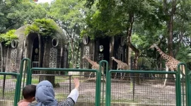 Apakah Taman Margasatwa Ragunan Buka pada 17 Agustus