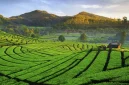 Kenapa Jawa Barat Dingin