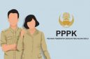 Cara Cek NIP PPPK Paruh Waktu 2025 dengan Mudah via MOLA BKN