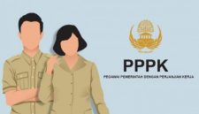 Cara Cek NIP PPPK Paruh Waktu 2025 dengan Mudah via MOLA BKN