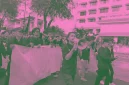 Cara Edit Foto Pink Hijau Aesthetic