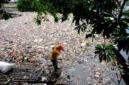 Menurut Kalian Apakah Sampah Termasuk Komponen Abiotik Mengapa
