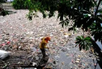 Menurut Kalian Apakah Sampah Termasuk Komponen Abiotik Mengapa