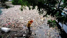 Menurut Kalian Apakah Sampah Termasuk Komponen Abiotik Mengapa