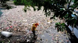 Menurut Kalian Apakah Sampah Termasuk Komponen Abiotik Mengapa