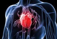 Jelaskan cara meningkatkan daya tahan kardiorespiratori