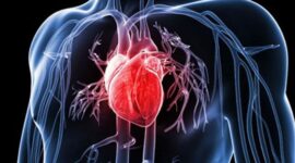 Jelaskan cara meningkatkan daya tahan kardiorespiratori