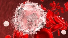 Leukosit Tinggi Kenapa?