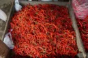 Update Harga Cabai Merah Hari Ini