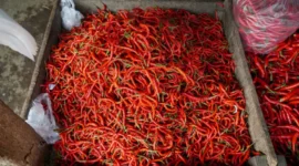 Update Harga Cabai Merah Hari Ini