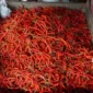 Update Harga Cabai Merah Hari Ini