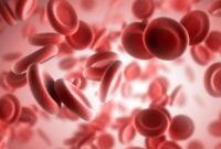 cara meningkatkan trombosit