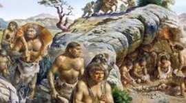 Apa yang Dimaksud dengan Manusia Purba?