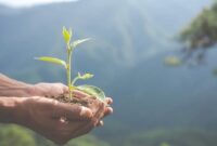 Apa Dampaknya Jika Tidak Ada Energi