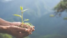 Apa Dampaknya Jika Tidak Ada Energi