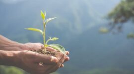 Apa Dampaknya Jika Tidak Ada Energi