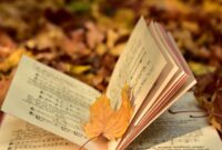 Perbedaan Utama antara Ventura Bersama dan Operasi Bersama