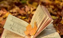 Perbedaan Utama antara Ventura Bersama dan Operasi Bersama