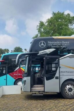 Panduan Lengkap Daftar Mudik Gratis Nataru 2025 dengan Program Motis Kemenhub