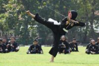 Unsur-unsur yang Terkandung dalam Pencak Silat