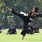 Unsur-unsur yang Terkandung dalam Pencak Silat