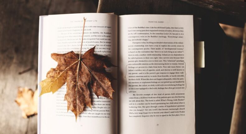 foto slider headline