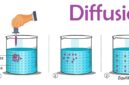 Apakah Difusi Terjadi Lebih Cepat dalam Cairan atau Gas