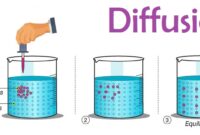 Apakah Difusi Terjadi Lebih Cepat dalam Cairan atau Gas