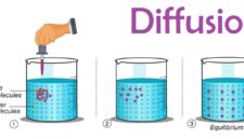 Apakah Difusi Terjadi Lebih Cepat dalam Cairan atau Gas