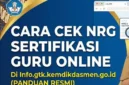 Cara Cek NRG Menggunakan NUPTK