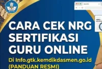 Cara Cek NRG Menggunakan NUPTK