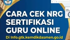 Cara Cek NRG Menggunakan NUPTK