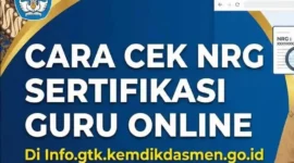 Cara Cek NRG Menggunakan NUPTK