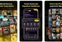 Cara Mendapatkan Uang dari Melolo