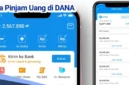 Penyebab DANA Cicil Tidak Tersedia