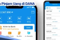 Penyebab DANA Cicil Tidak Tersedia