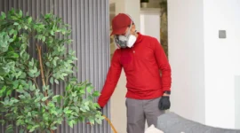 Lindungi rumah dari kerugian puluhan juta akibat rayap dengan jasa basmi rayap profesional dari https://suntikrayap.com/
yang efektif dan bergaransi.