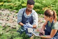 Mengapa Urban Farming Cocok Sebagai Awal Karier Green Jobs Bagi Milenial Kota