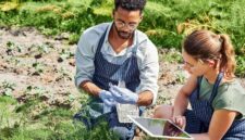 Mengapa Urban Farming Cocok Sebagai Awal Karier Green Jobs Bagi Milenial Kota