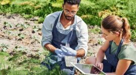 Mengapa Urban Farming Cocok Sebagai Awal Karier Green Jobs Bagi Milenial Kota