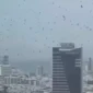 Ribuan Burung Gagak Berputar-Putar di Kota Israel