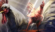 Link nonton Rooster Fighter episode 1 sub Indo legal tersedia di Bilibili, Crunchyroll, dan Disney+. Simak cara aksesnya di sini.