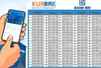 Cara Daftar KUR BRI Online 2026