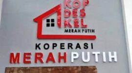 Cara Daftar Manajer Koperasi Merah Putih