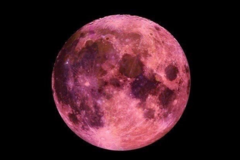 Cara Melihat Pink Moon April 2026