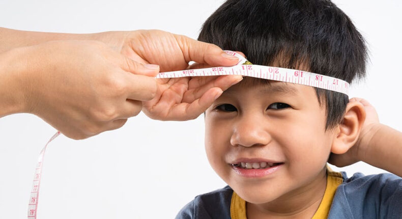 foto slider headline